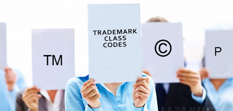 
                    Trademark Class List